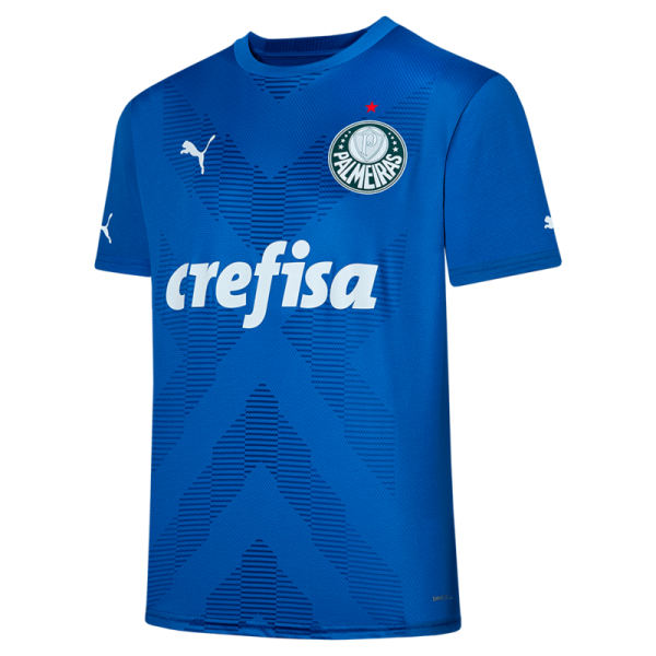 Camisa Palmeiras I 2023 Goleiro