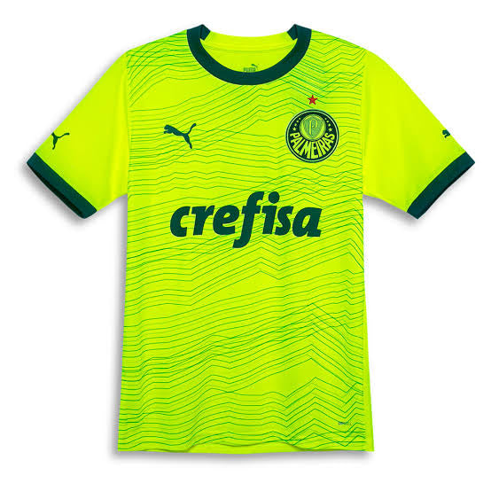 Camisa Palmeiras Third 23/24 -Masculino Torcedor