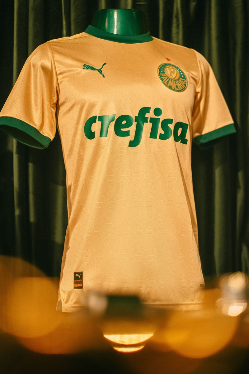 Camisa Palmeiras Third 24/25 -Masculino Torcedor