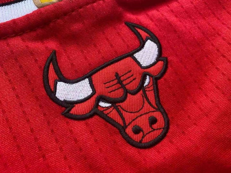 Regata Chicago Bulls Away Adidas Jordan - Rei da Pelada